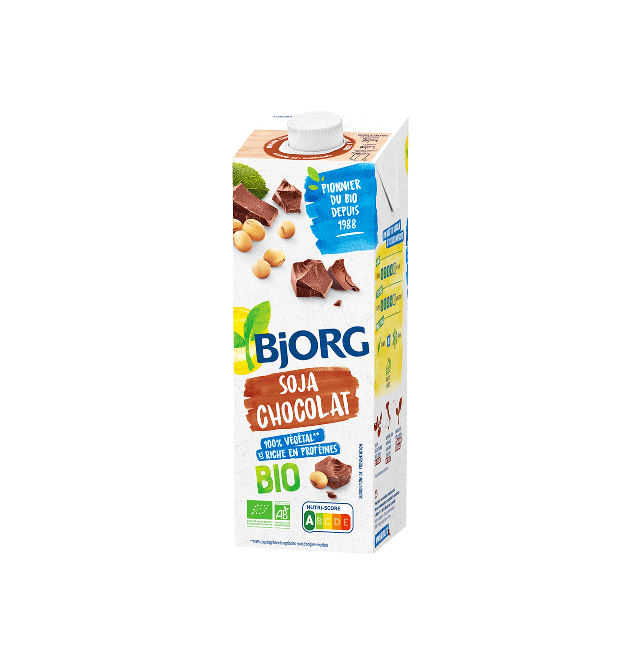 Bjorg Soy Chocolate Milk - 12*1ltr