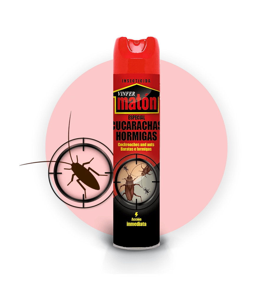 Maton Rapid Insecticide Spray - 12*300ml